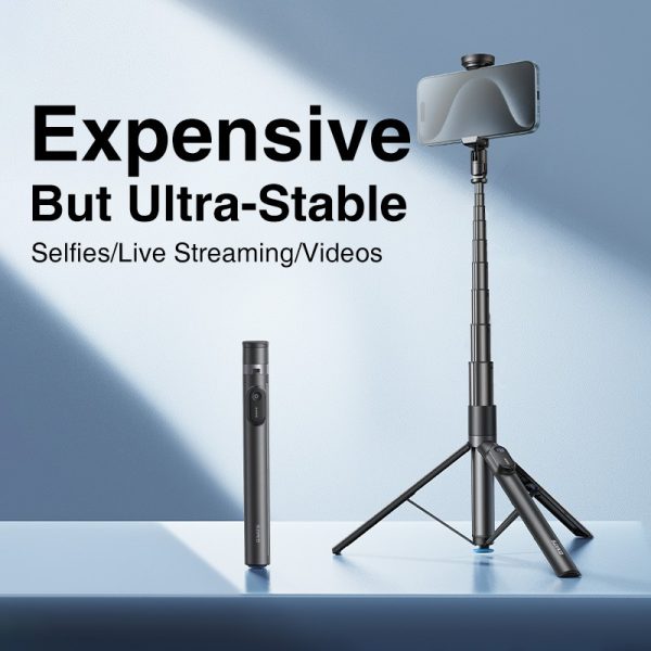 Mounts & Stands