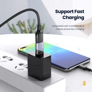 Simple Mobile Phone Charger OTG Adapter