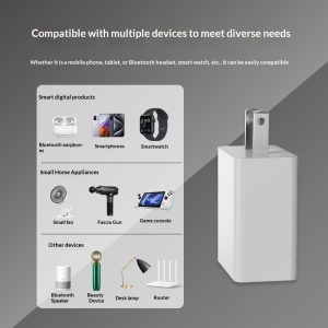 5V 1A Power Adapter Phone Charger Plug